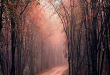 壹号娱乐：时隔139天 亚泰将士回家啦！.