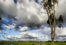 壹号娱乐：同享精彩赛事 共奏团结乐章（聚焦传统体育）人民日报.