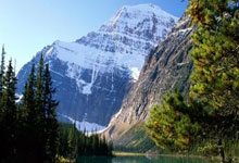 英超球员身价更新：努涅斯霍伊伦暴跌 伊萨克世界第三.