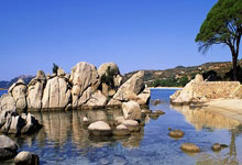 英超球员身价更新：努涅斯霍伊伦暴跌 伊萨克世界第三.